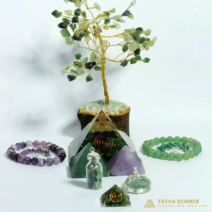 Focused Study Crystal Set0